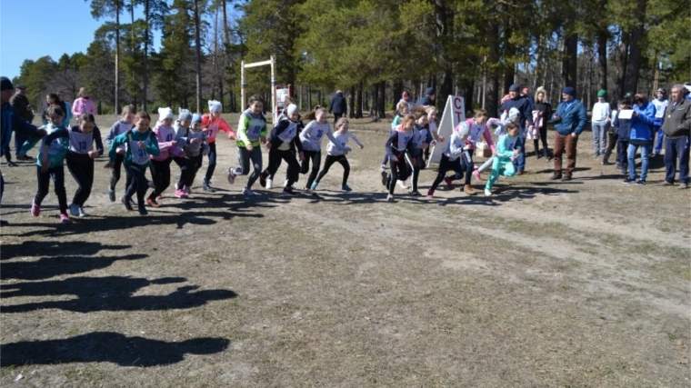 На территории лесного массива «Красный бор» прошел весенний легкоатлетический кросс среди школьников